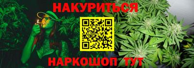 индика Пыть-Ях