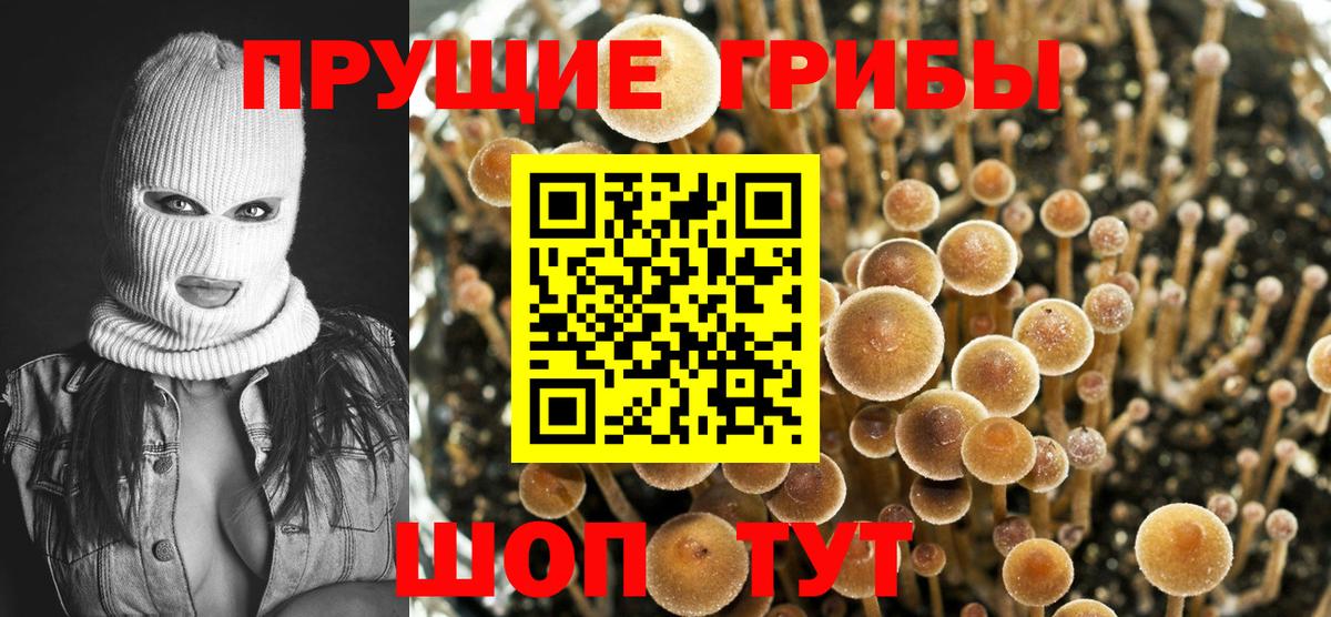 Галлюциногенные грибы MAGIC MUSHROOMS Лиски