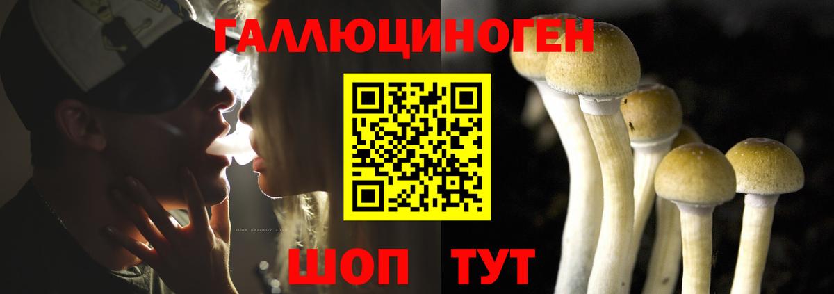 Псилоцибиновые грибы Magic Shrooms  Галлюциногенные грибы мицелий  Вход с VPN  Лиски 